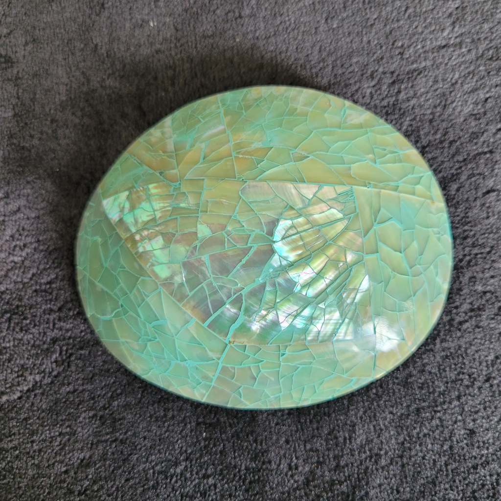 Belt Buckle Abalone Shell Nwot Original Box